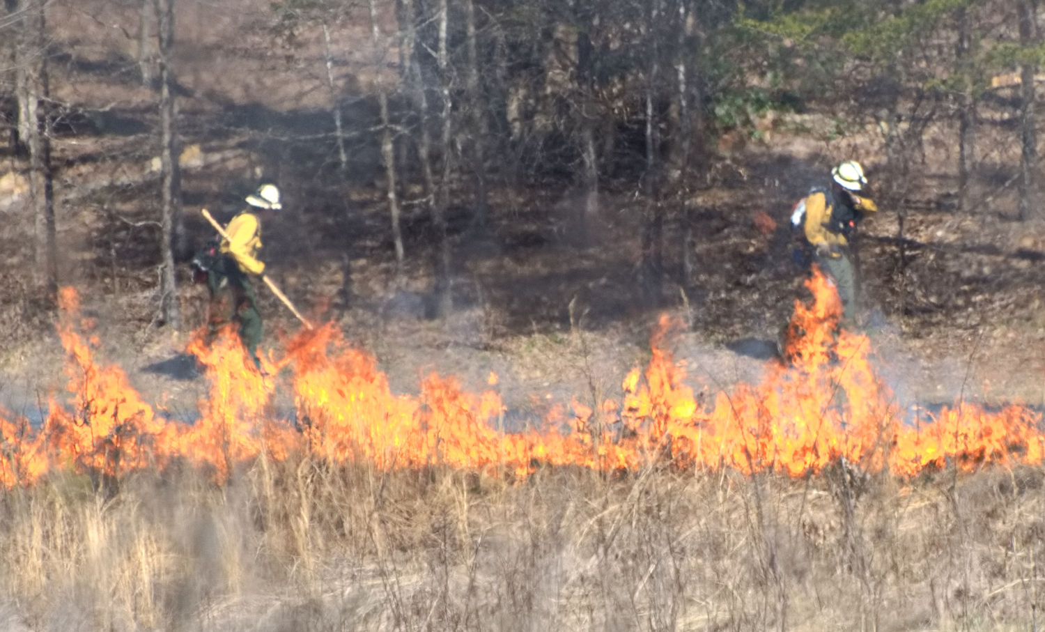 2023 north field burn start