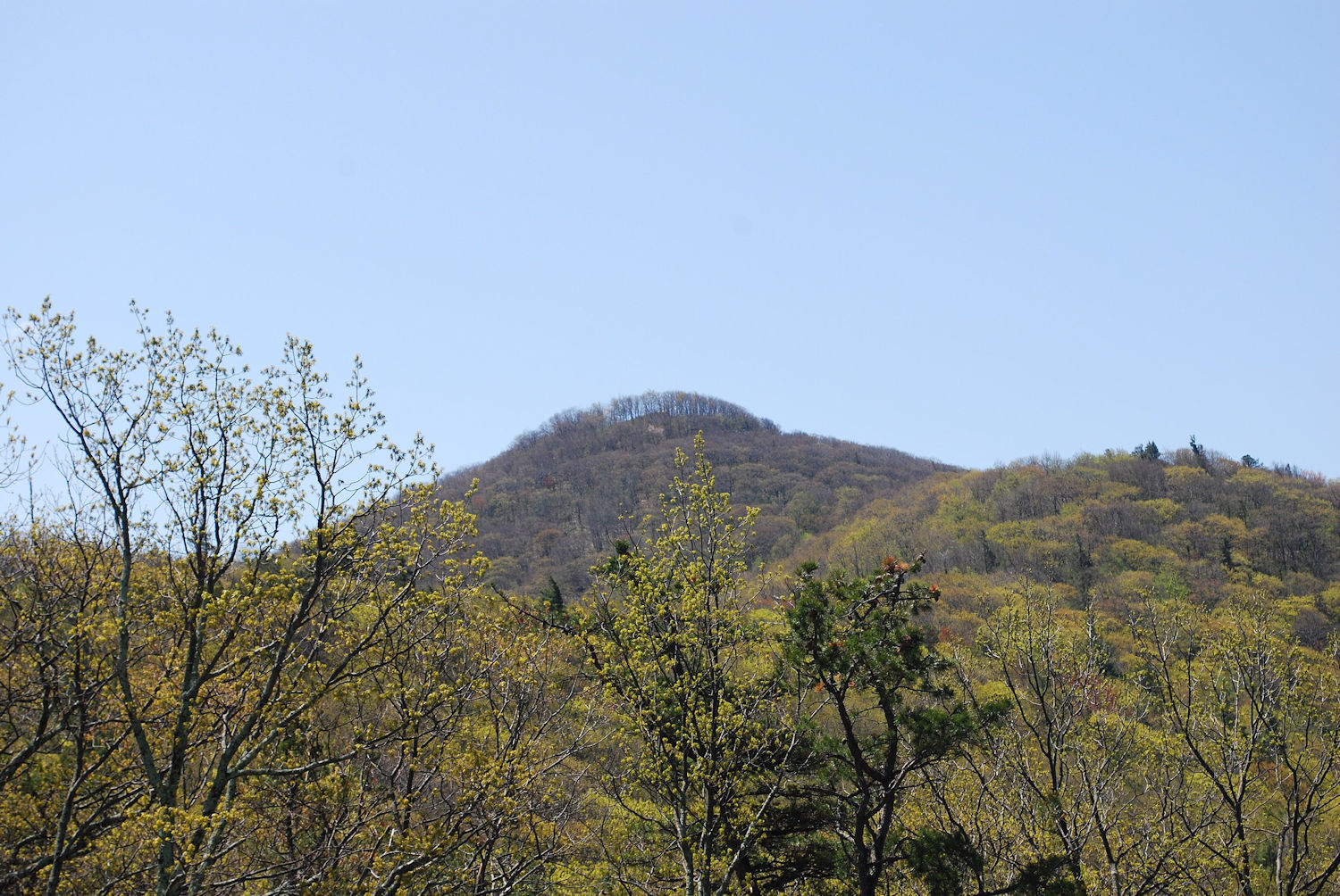 Shenandoah Mountain High Knob