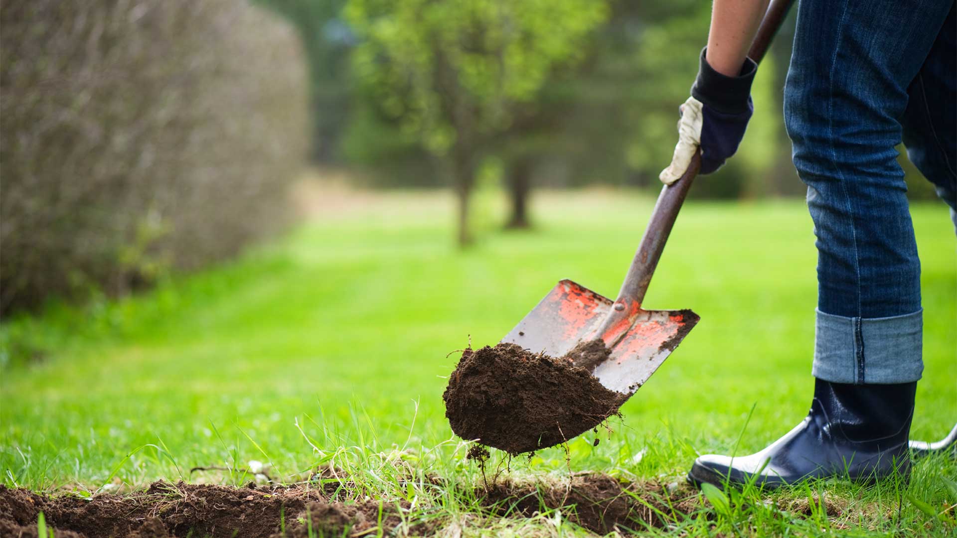 Tree Planting