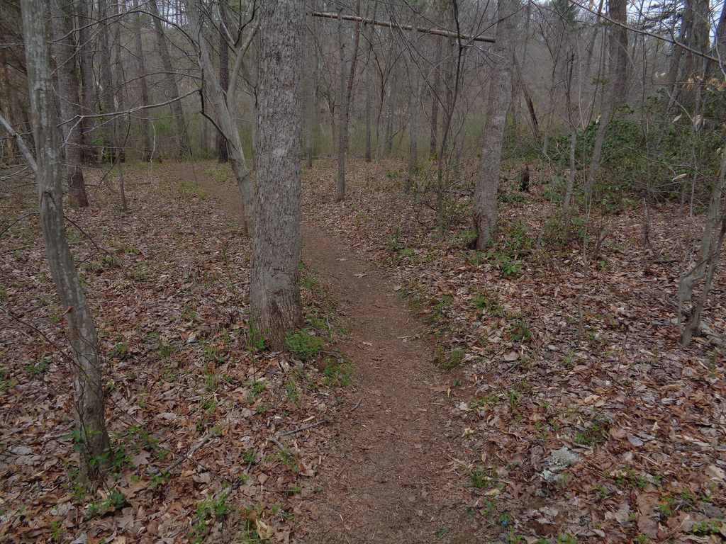 White Trail - Farm Road