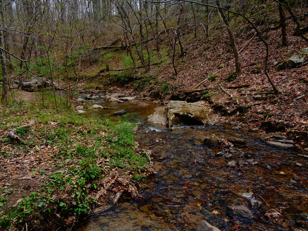 White Trail - Water